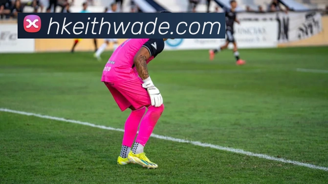 多彩内容专区